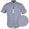 Dario Beltran Mens Big Size Candy Stripe Cotton Button Down Collar Short Sleeve Shirt -Ben Sherman Store dario beltran mens big size candy stripe cotton button down collar short sleeve shirt p2697 215645 image