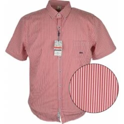 Dario Beltran Mens Big Size Candy Stripe Cotton Button Down Collar Short Sleeve Shirt -Ben Sherman Store dario beltran mens big size candy stripe cotton button down collar short sleeve shirt p2697 215657 image
