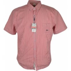 Dario Beltran Mens Big Size Candy Stripe Cotton Button Down Collar Short Sleeve Shirt -Ben Sherman Store dario beltran mens big size candy stripe cotton button down collar short sleeve shirt p2697 215658 image