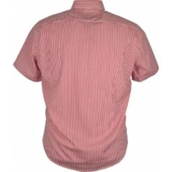 Dario Beltran Mens Big Size Candy Stripe Cotton Button Down Collar Short Sleeve Shirt -Ben Sherman Store dario beltran mens big size candy stripe cotton button down collar short sleeve shirt p2697 215659 image